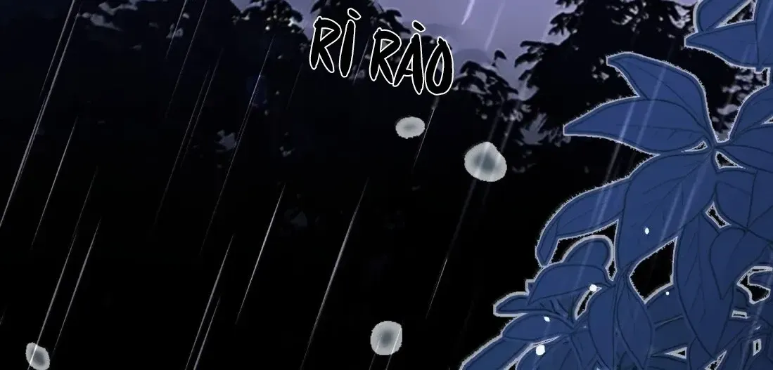 Quấn Quýt - Chap 77 - Trang 15