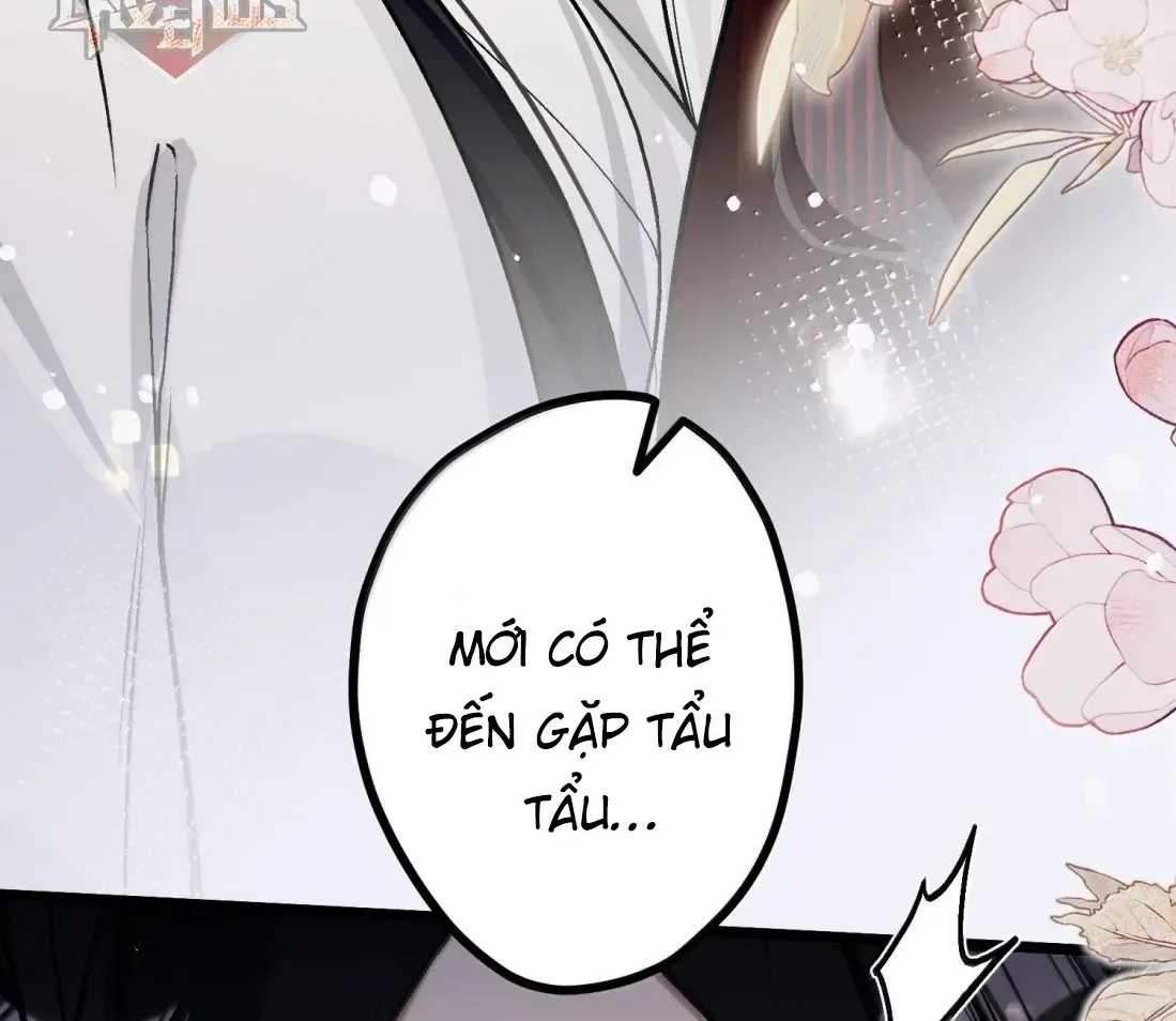 Quấn Quýt - Chap 77 - Trang 54
