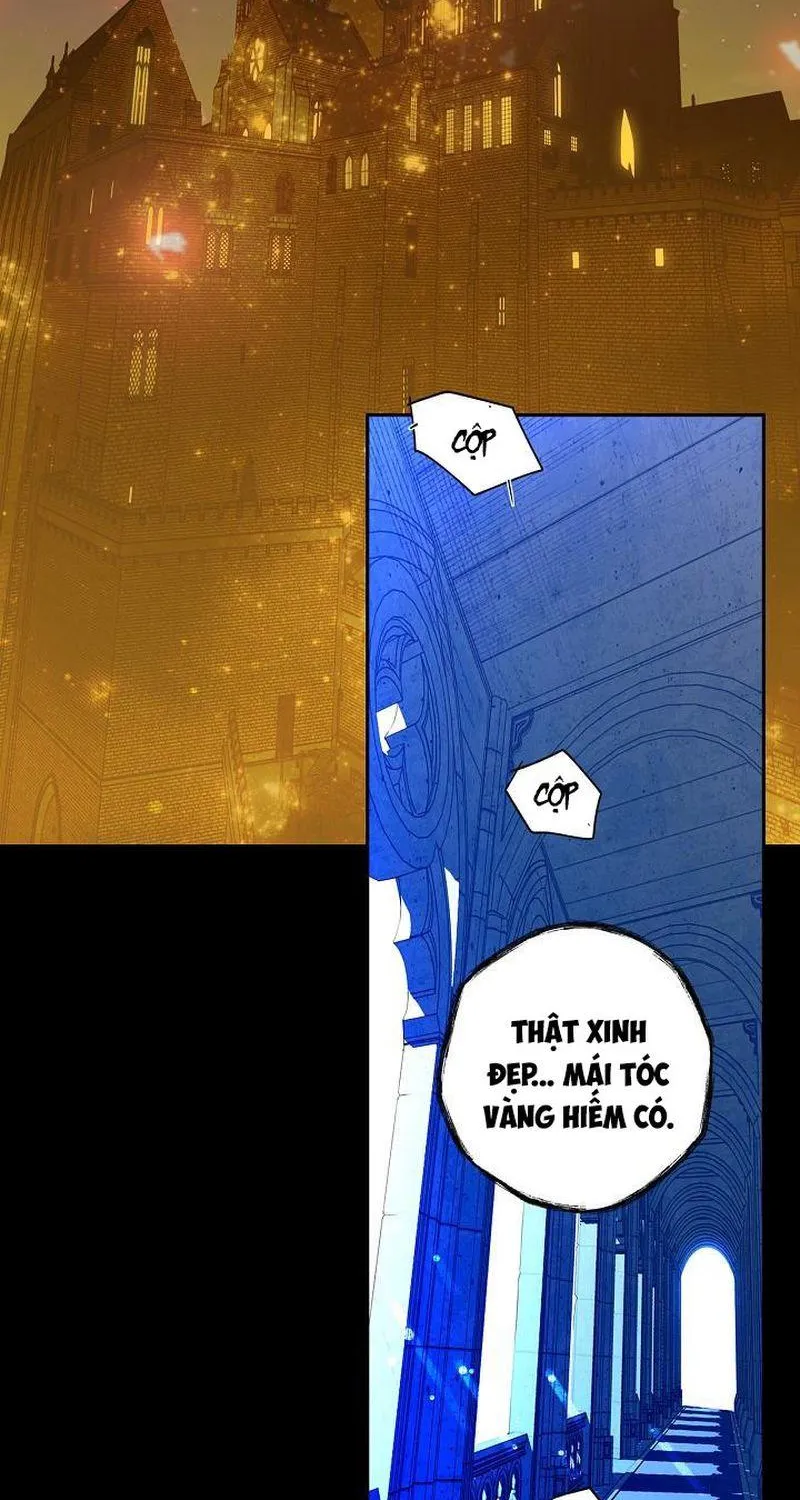 Quý Cô Bí Ẩn - Chap 1 - Trang 3