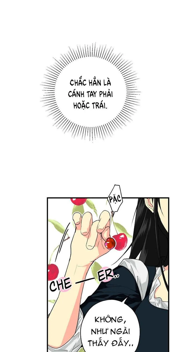 Quý Cô Bí Ẩn - Chap 10 - Trang 12