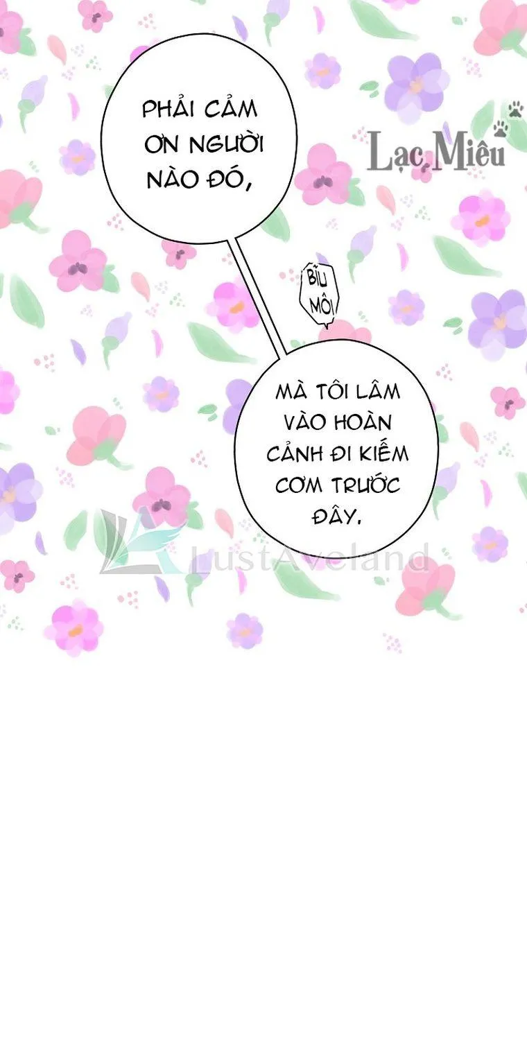 Quý Cô Bí Ẩn - Chap 10 - Trang 14