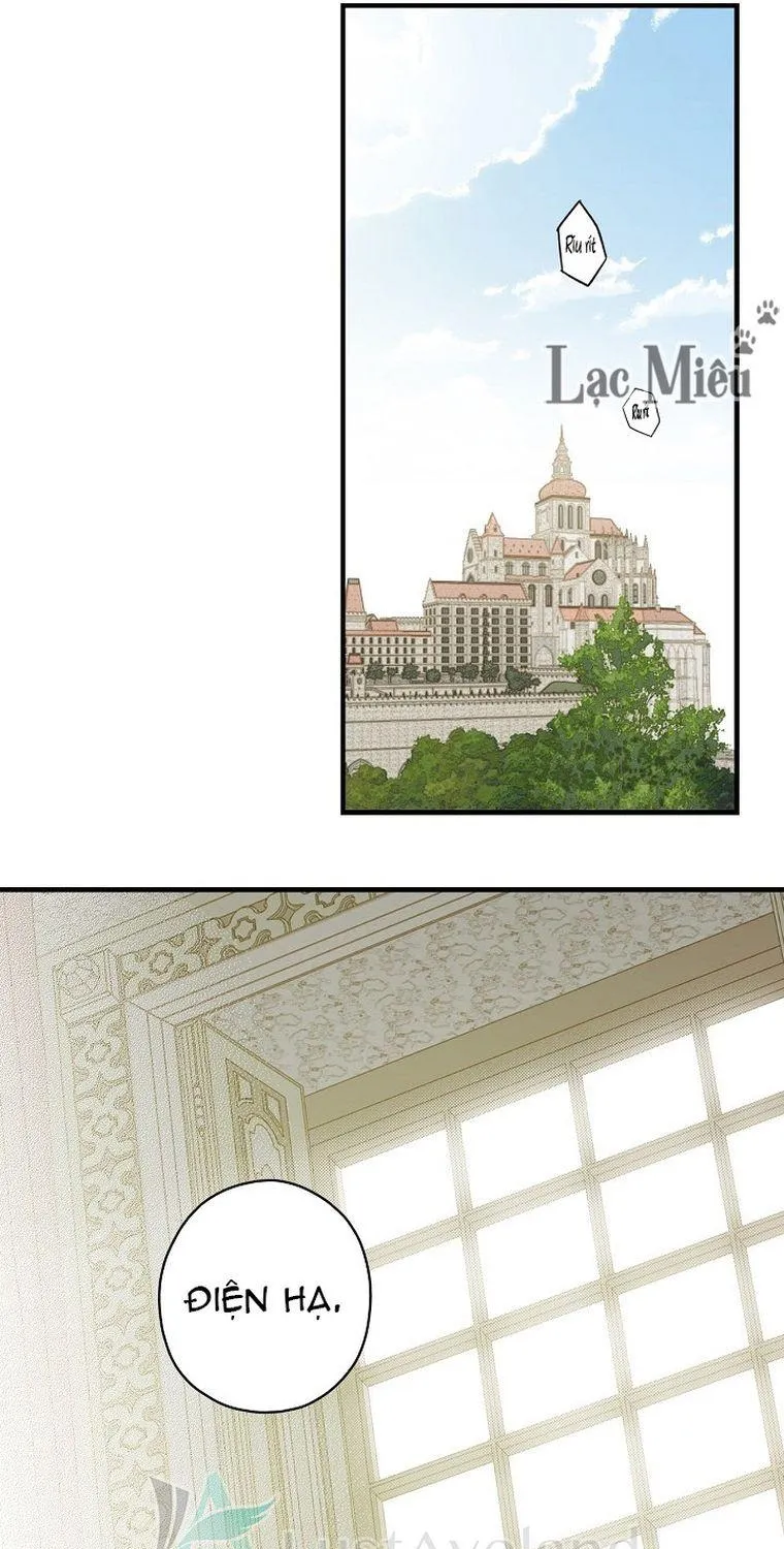 Quý Cô Bí Ẩn - Chap 10 - Trang 17