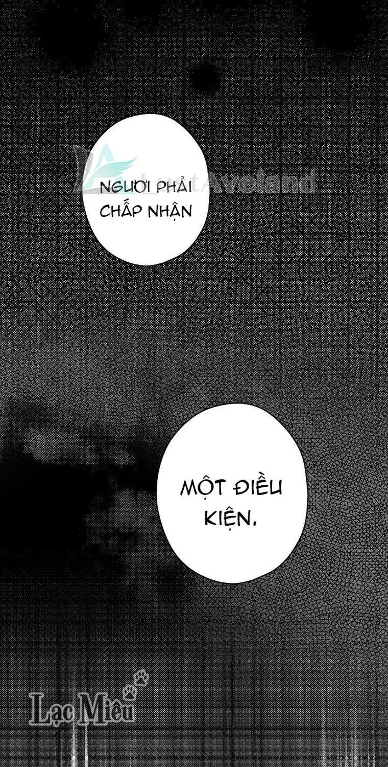 Quý Cô Bí Ẩn - Chap 11 - Trang 48