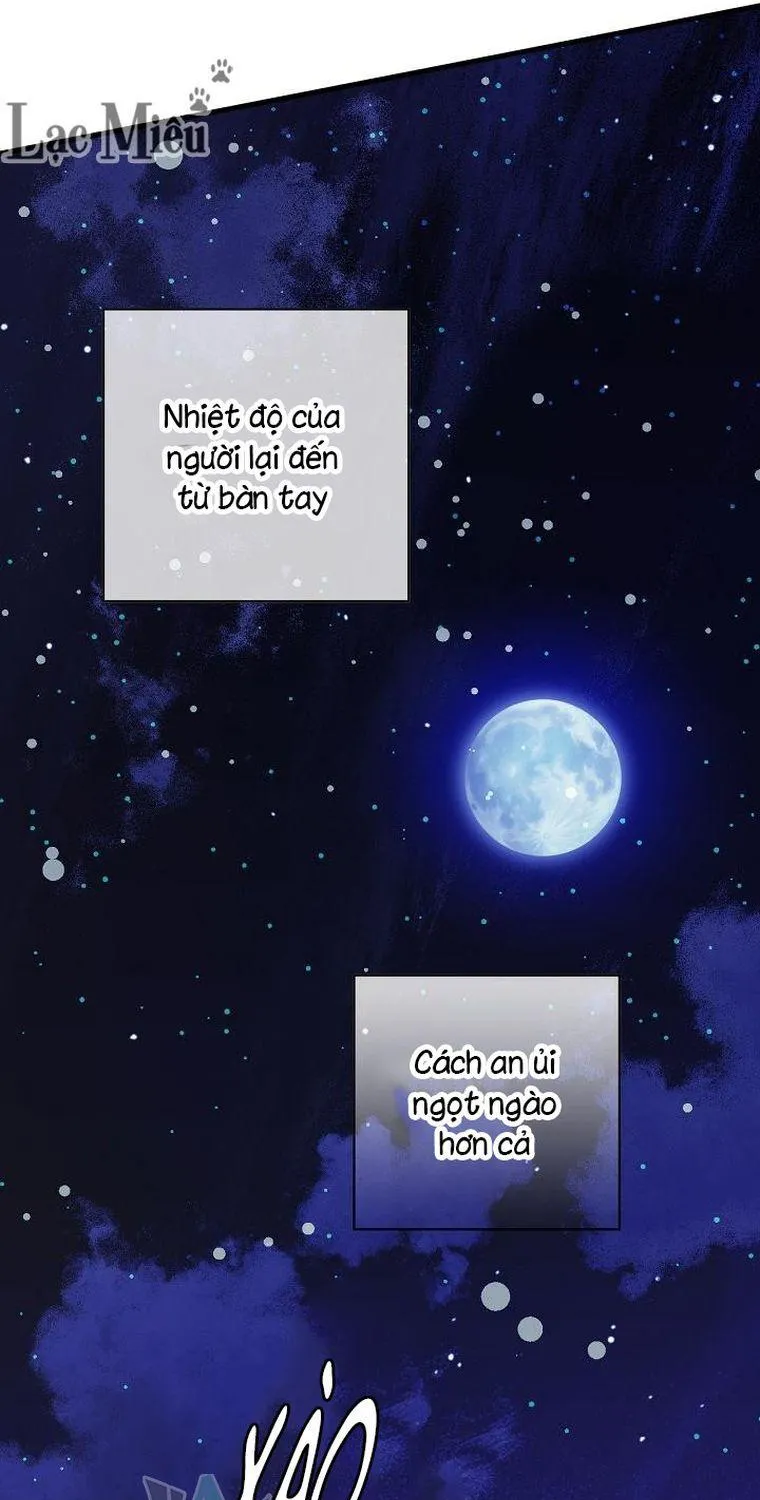 Quý Cô Bí Ẩn - Chap 14 - Trang 22