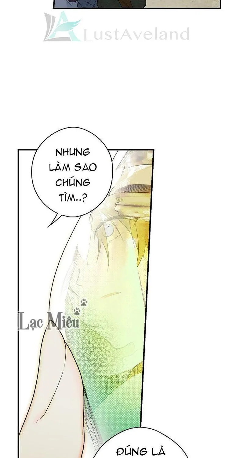 Quý Cô Bí Ẩn - Chap 15 - Trang 22