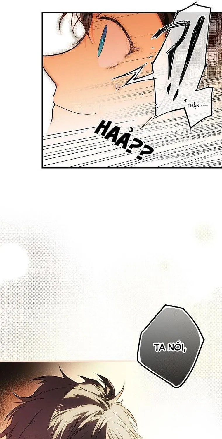 Quý Cô Bí Ẩn - Chap 16 - Trang 14