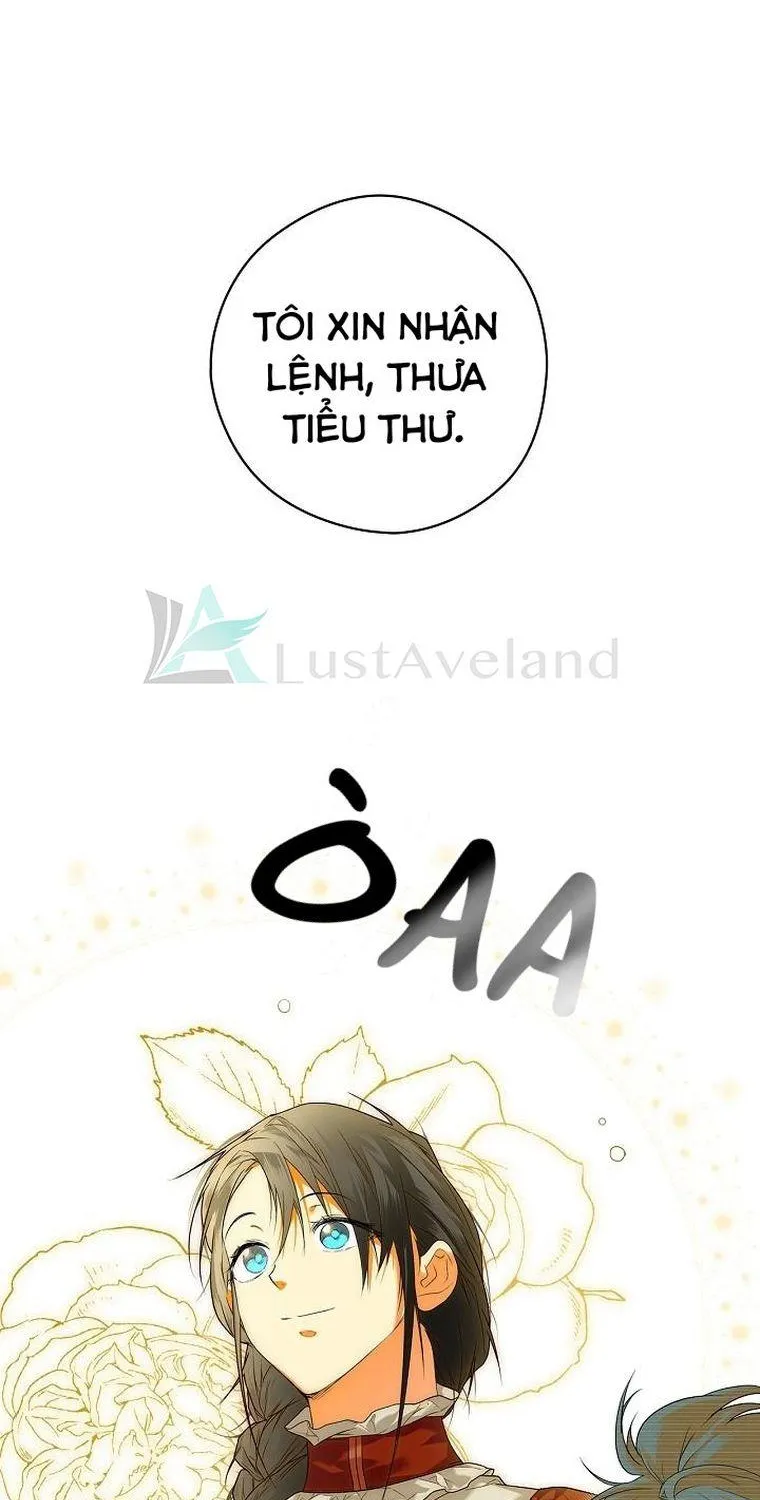 Quý Cô Bí Ẩn - Chap 17 - Trang 17