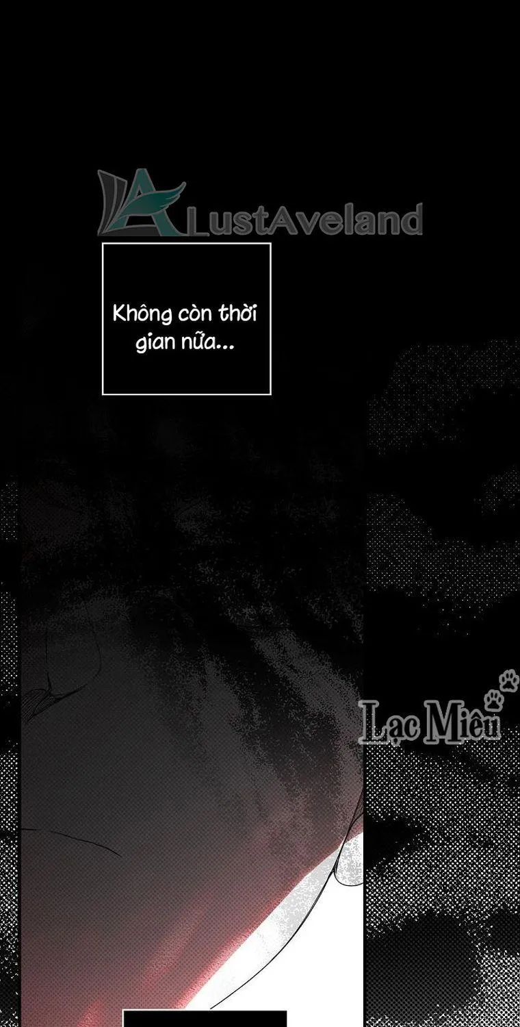 Quý Cô Bí Ẩn - Chap 19 - Trang 17