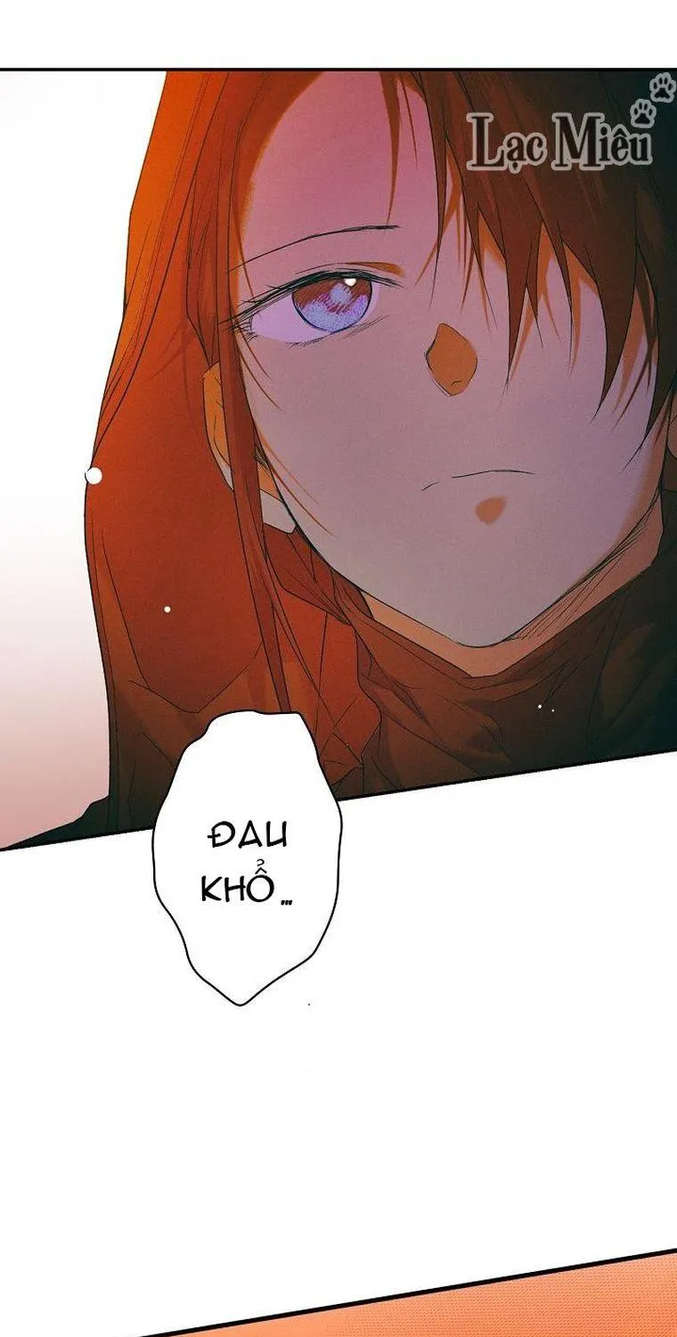Quý Cô Bí Ẩn - Chap 19 - Trang 5