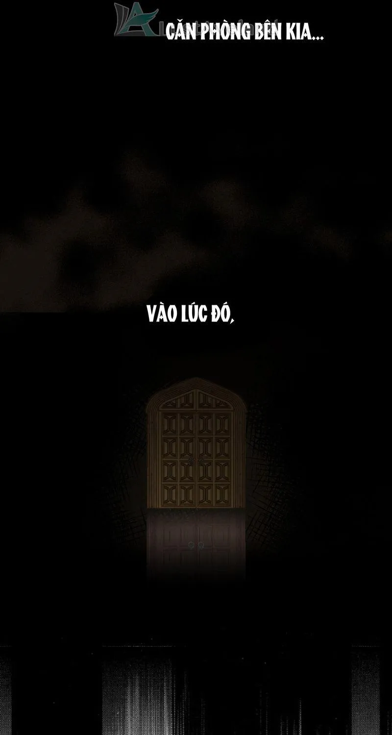 Quý Cô Bí Ẩn - Chap 2 - Trang 13
