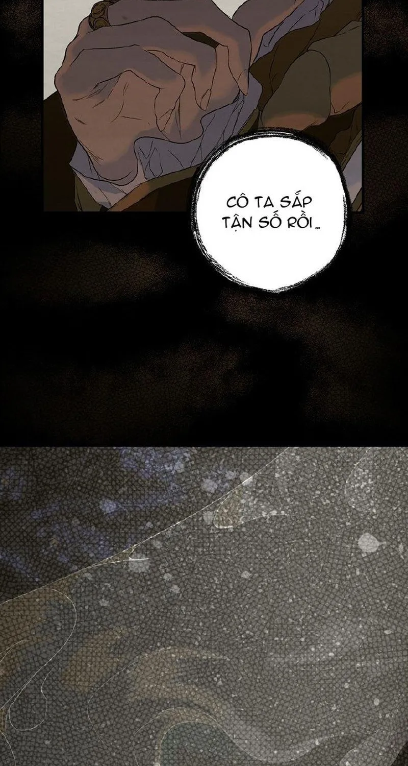 Quý Cô Bí Ẩn - Chap 2 - Trang 31