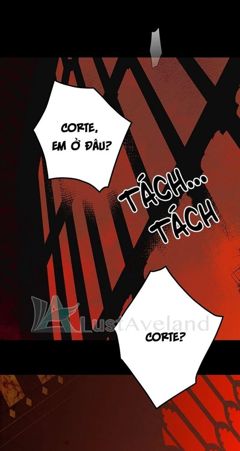 Quý Cô Bí Ẩn - Chap 2 - Trang 46