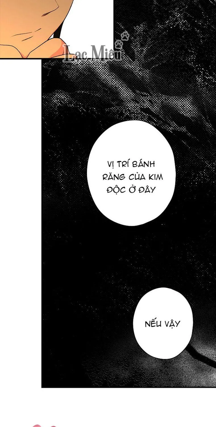 Quý Cô Bí Ẩn - Chap 24 - Trang 38