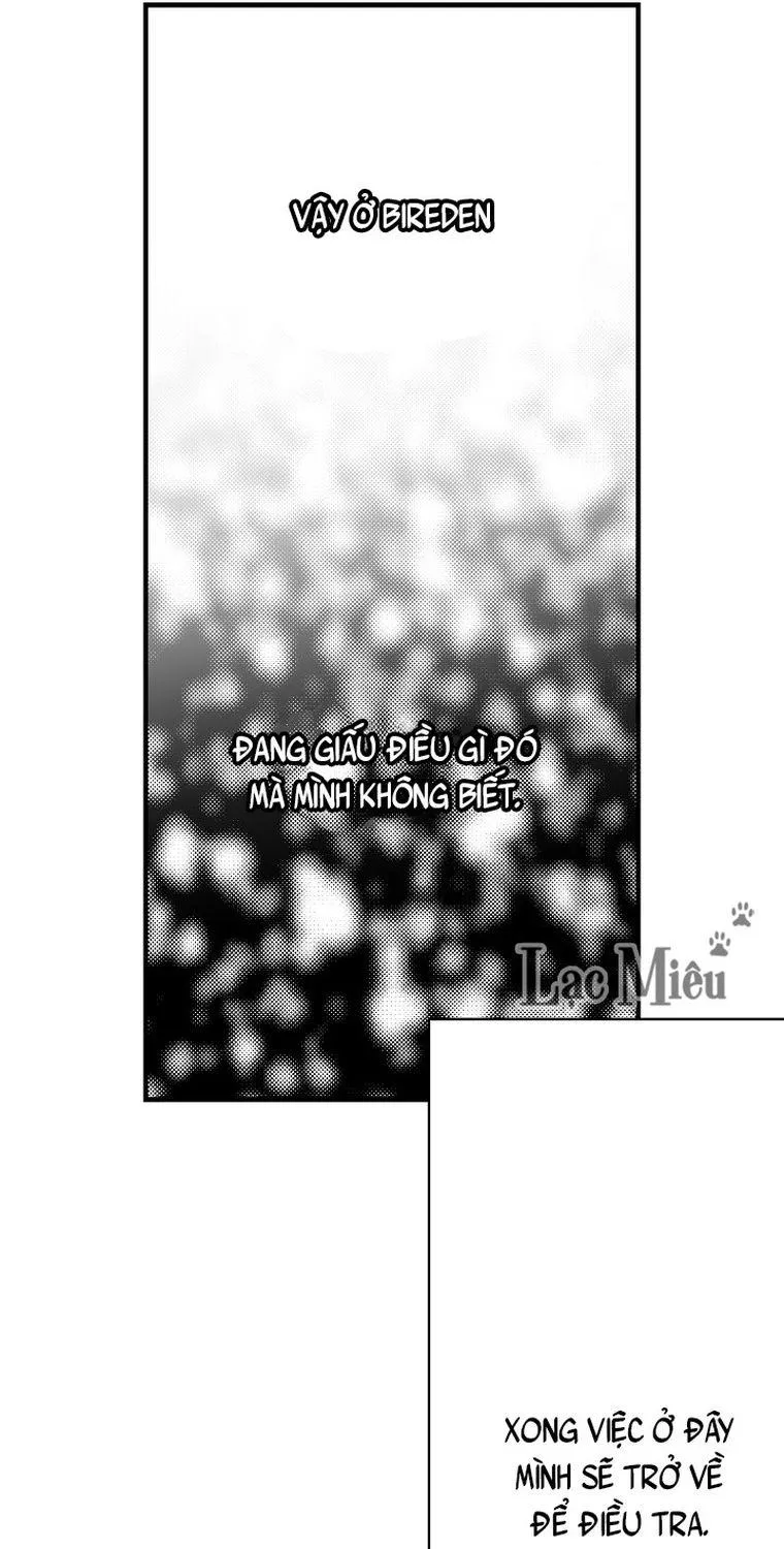 Quý Cô Bí Ẩn - Chap 25 - Trang 29