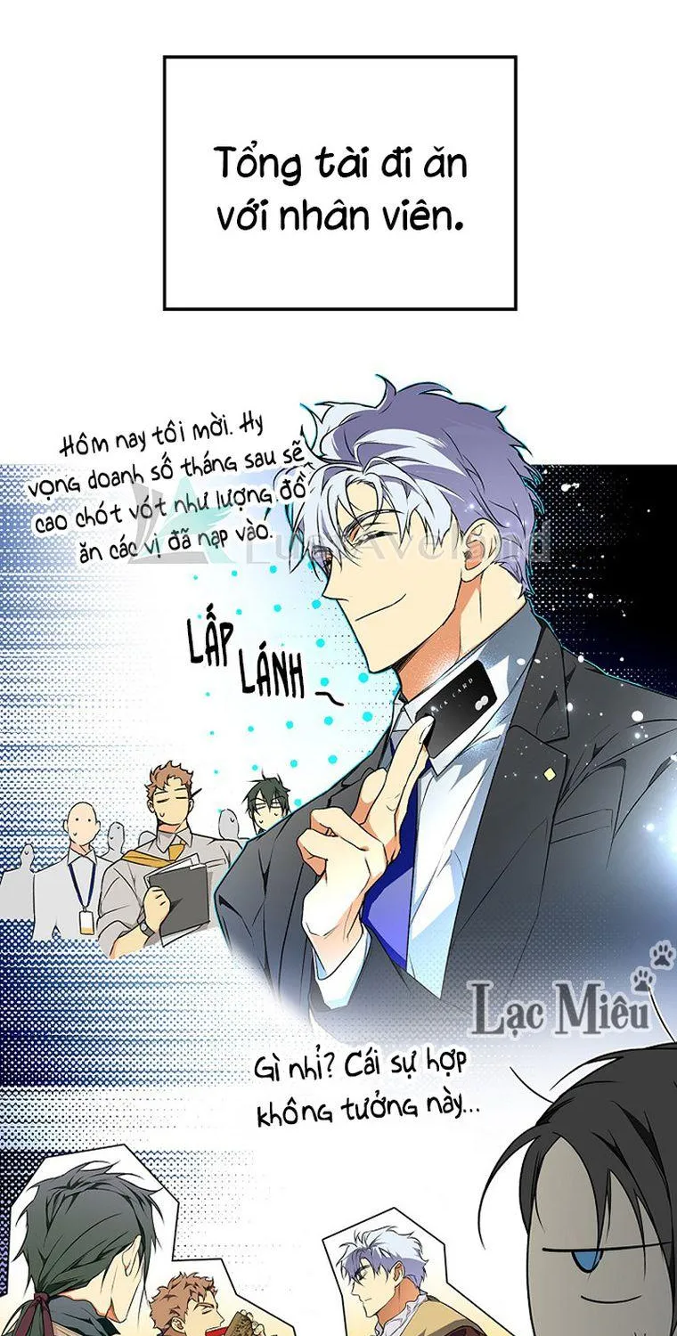 Quý Cô Bí Ẩn - Chap 28 - Trang 28
