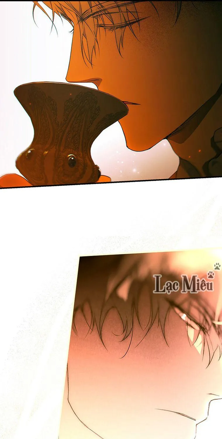Quý Cô Bí Ẩn - Chap 28 - Trang 30