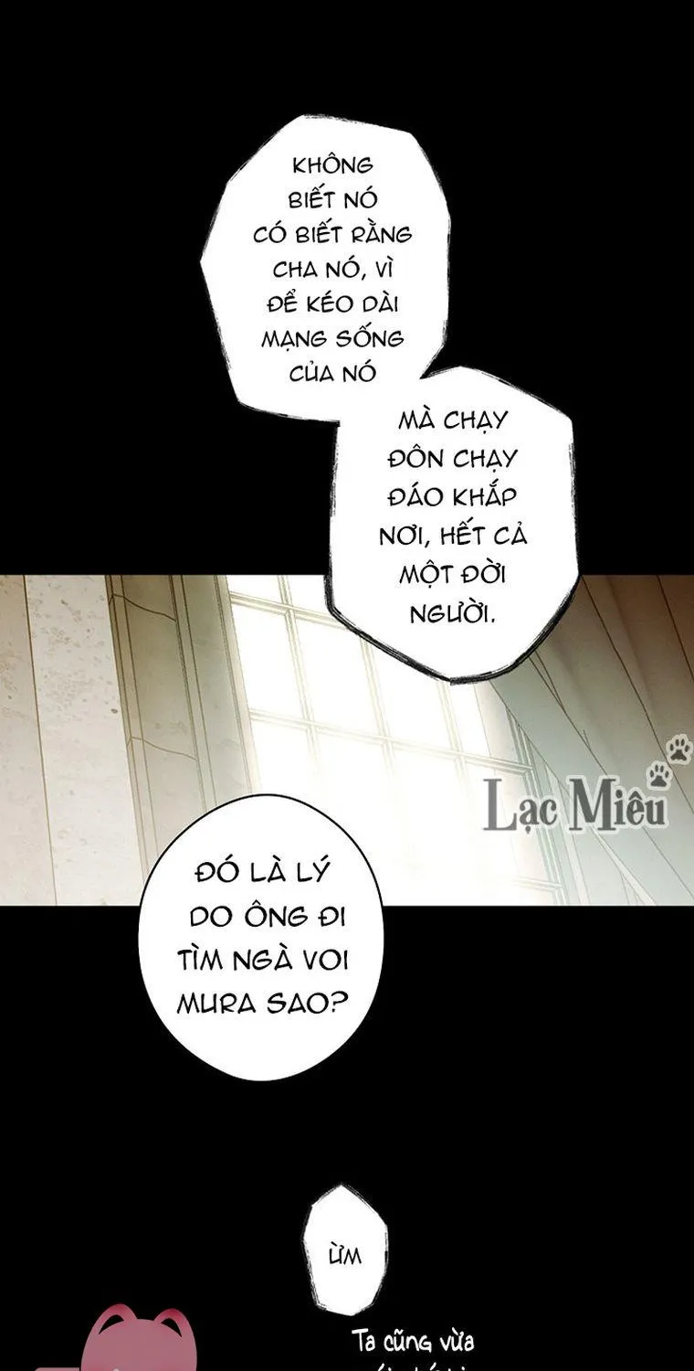 Quý Cô Bí Ẩn - Chap 28 - Trang 48