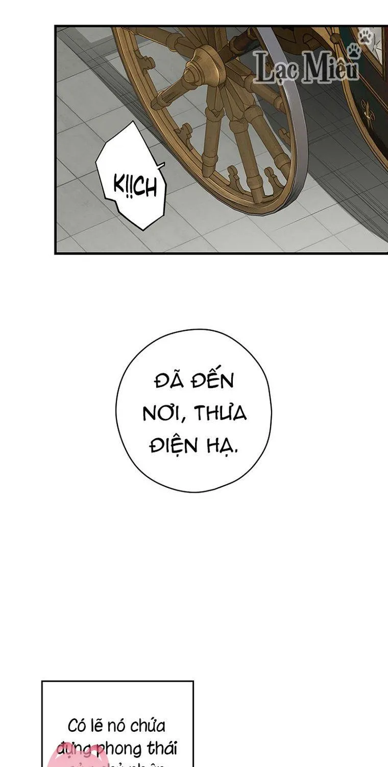 Quý Cô Bí Ẩn - Chap 29 - Trang 36