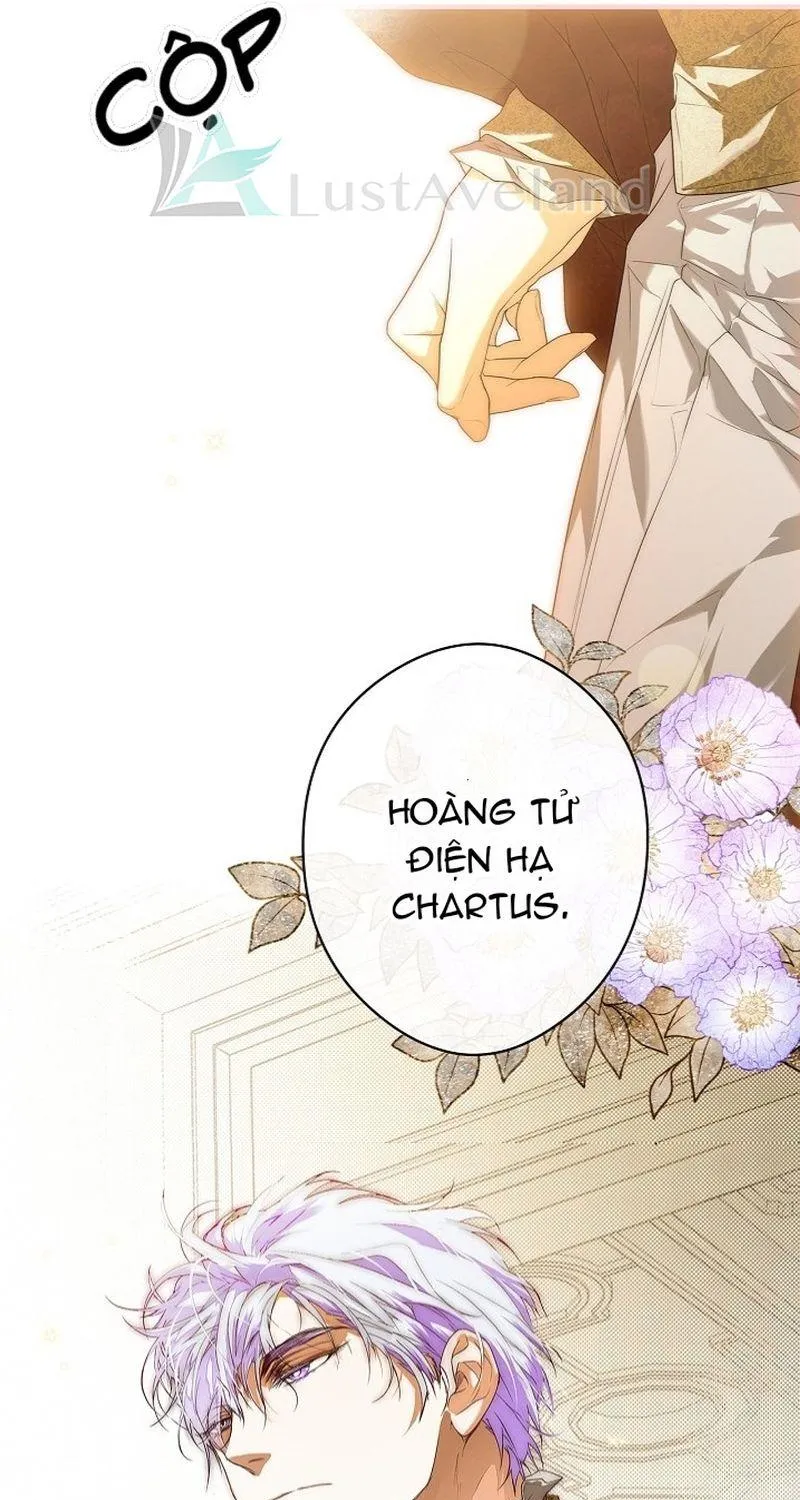 Quý Cô Bí Ẩn - Chap 3 - Trang 67