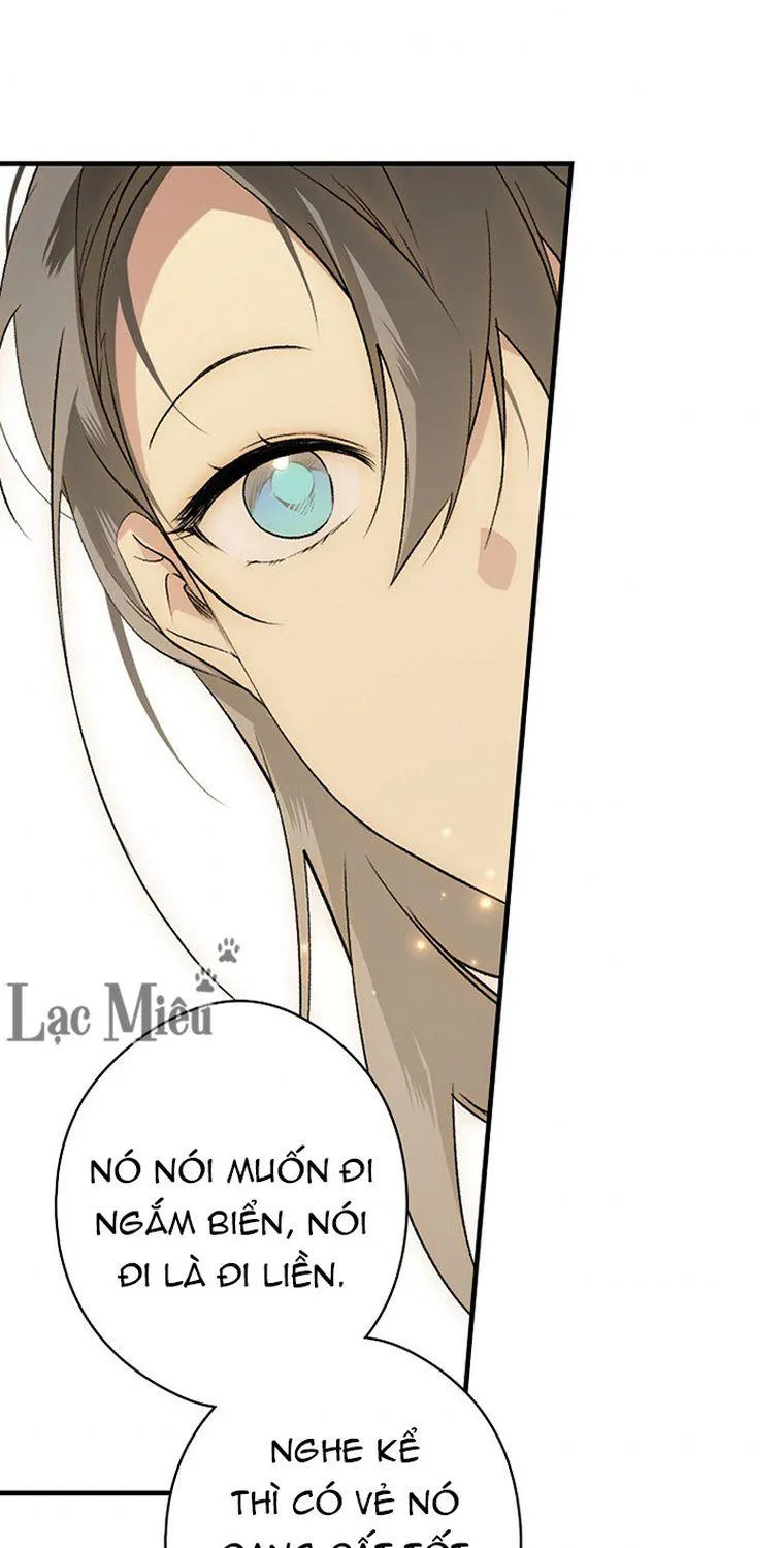 Quý Cô Bí Ẩn - Chap 30 - Trang 48