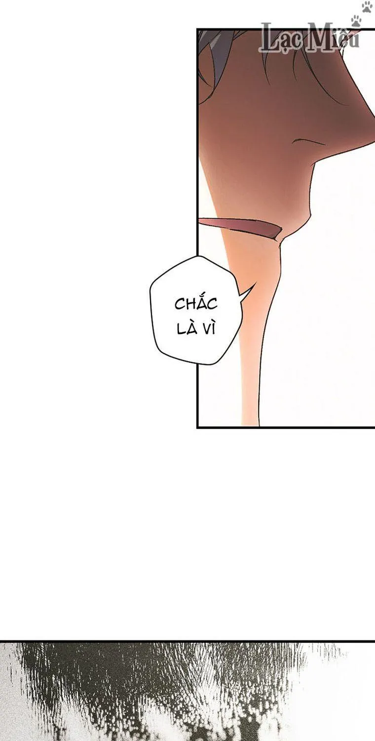 Quý Cô Bí Ẩn - Chap 31 - Trang 19
