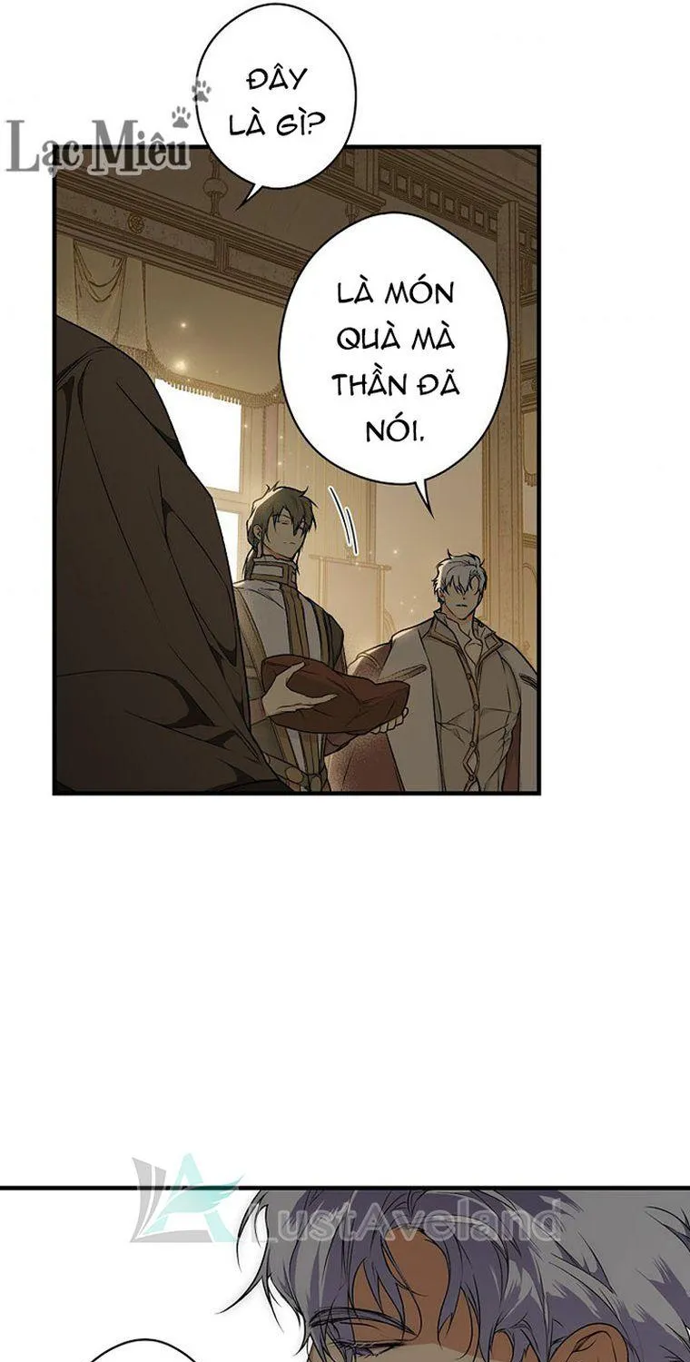 Quý Cô Bí Ẩn - Chap 31 - Trang 41