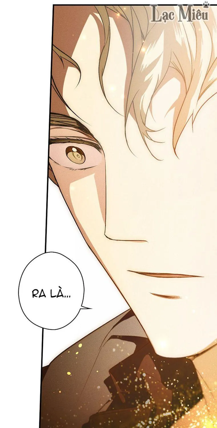 Quý Cô Bí Ẩn - Chap 31 - Trang 45