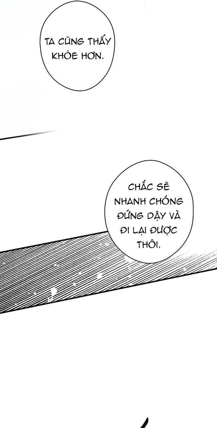 Quý Cô Bí Ẩn - Chap 31 - Trang 66