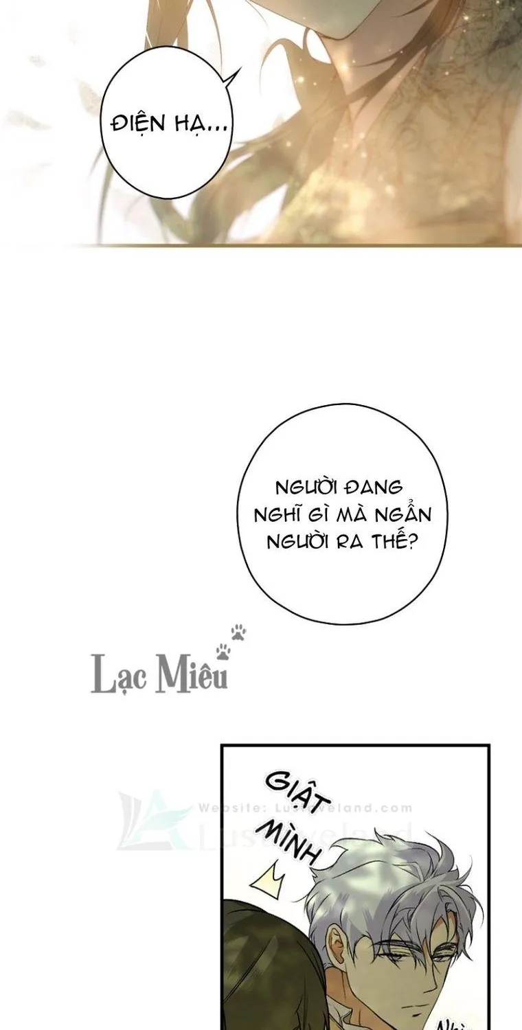 Quý Cô Bí Ẩn - Chap 32 - Trang 25