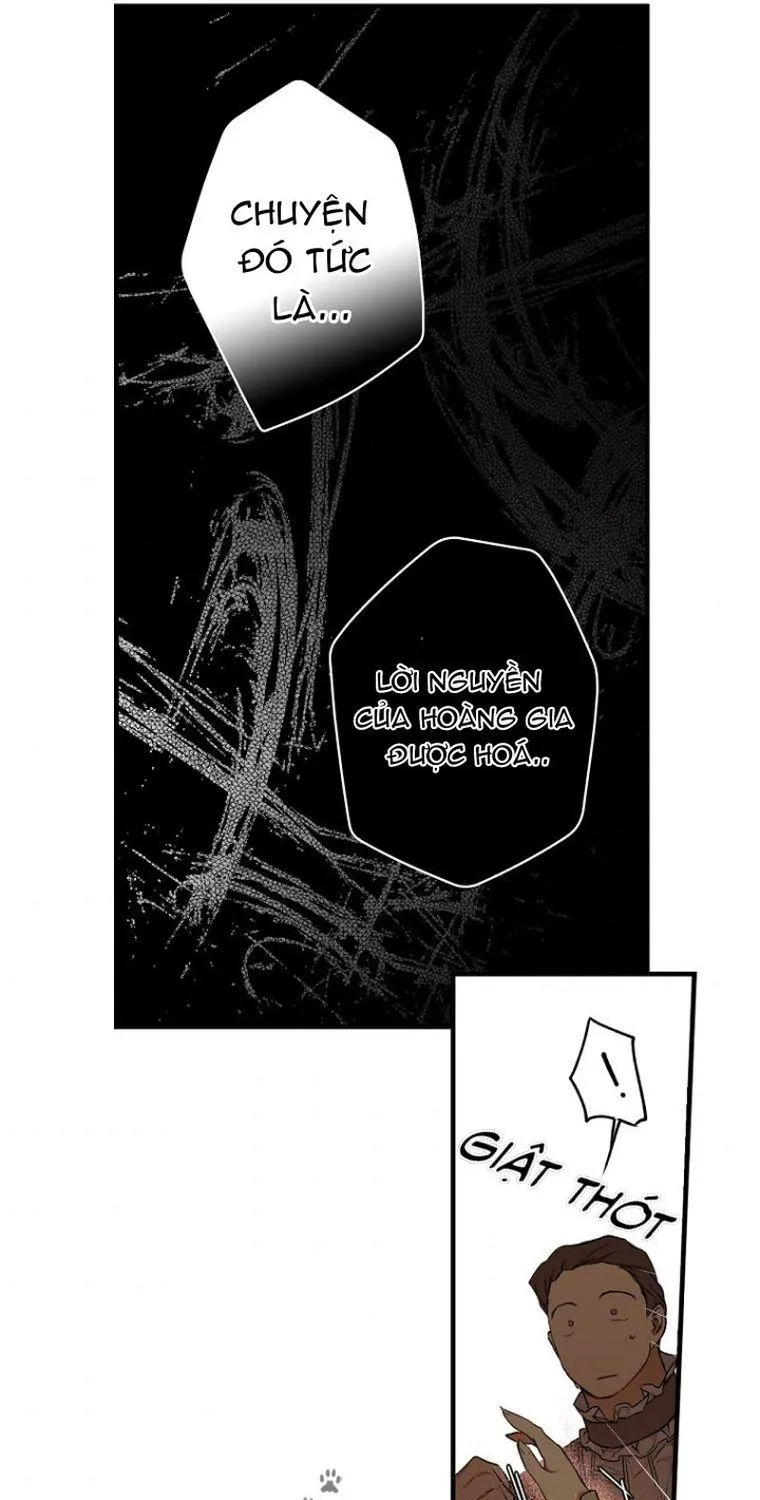 Quý Cô Bí Ẩn - Chap 32 - Trang 65