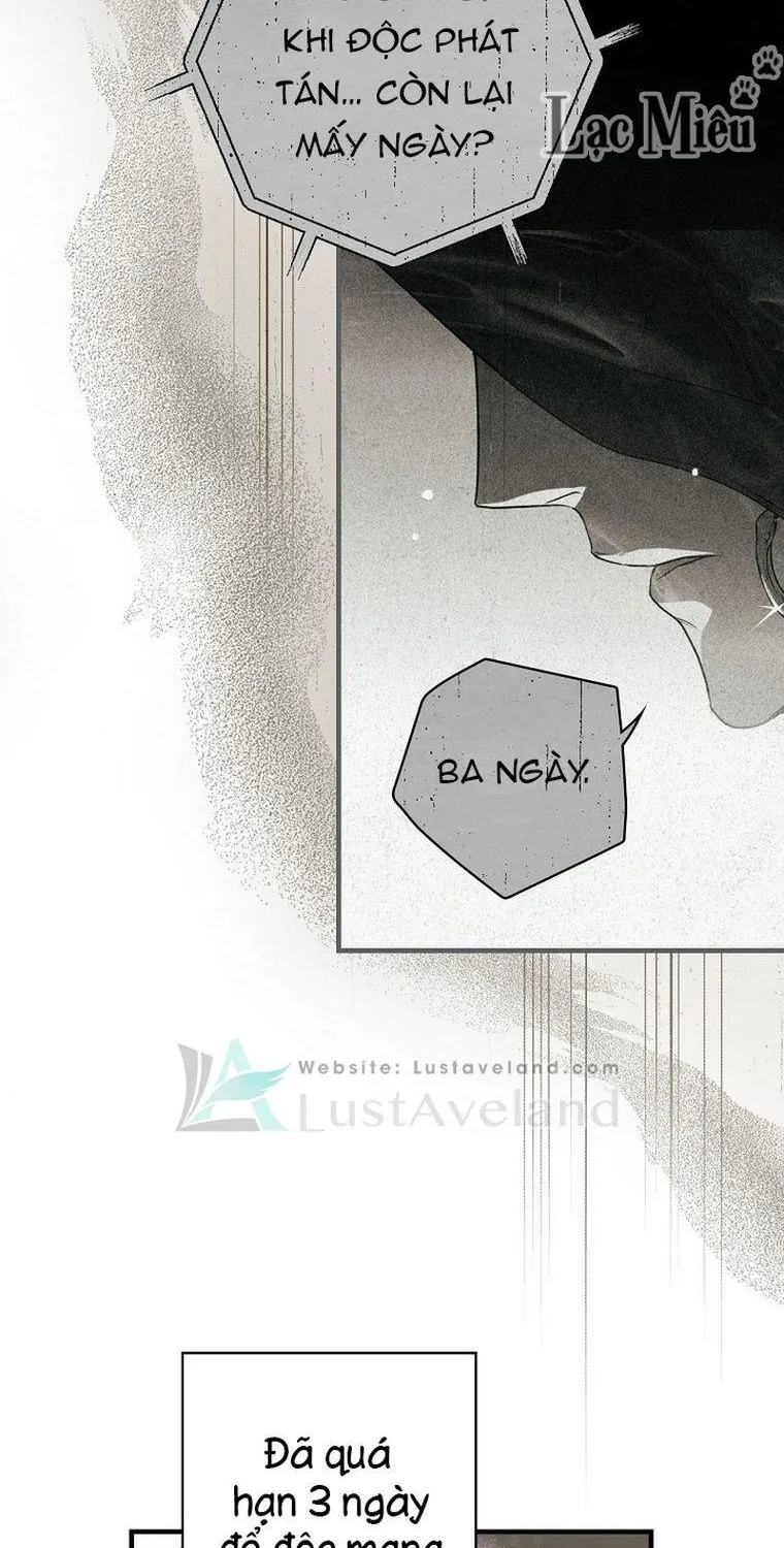 Quý Cô Bí Ẩn - Chap 33 - Trang 17