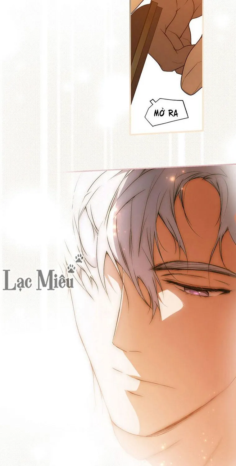 Quý Cô Bí Ẩn - Chap 35 - Trang 47