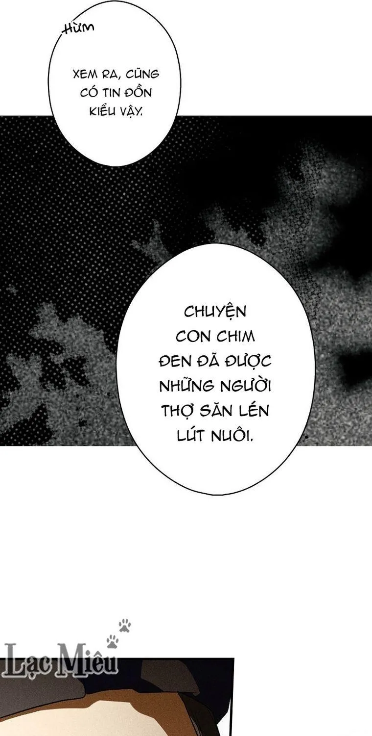 Quý Cô Bí Ẩn - Chap 36 - Trang 25