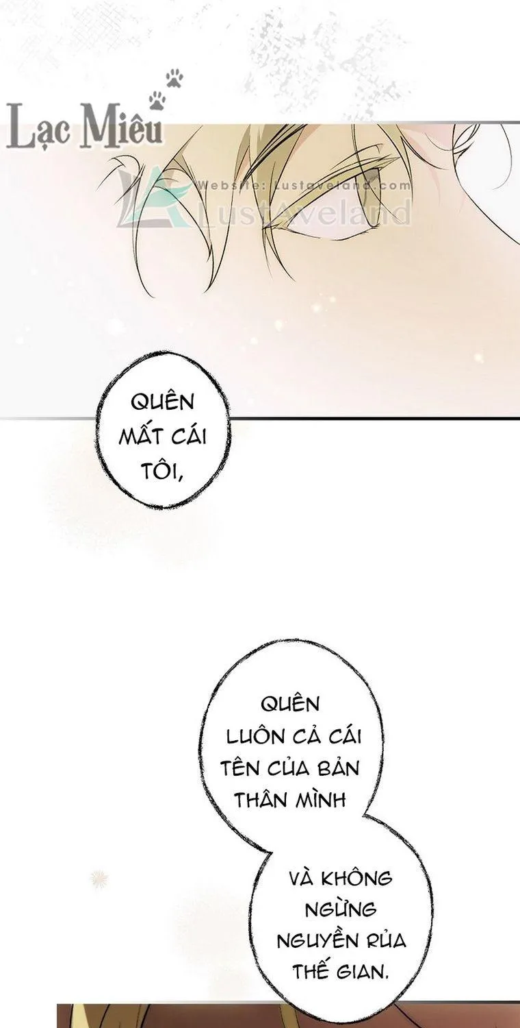 Quý Cô Bí Ẩn - Chap 37 - Trang 12
