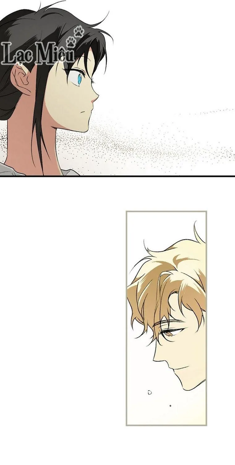 Quý Cô Bí Ẩn - Chap 37 - Trang 29