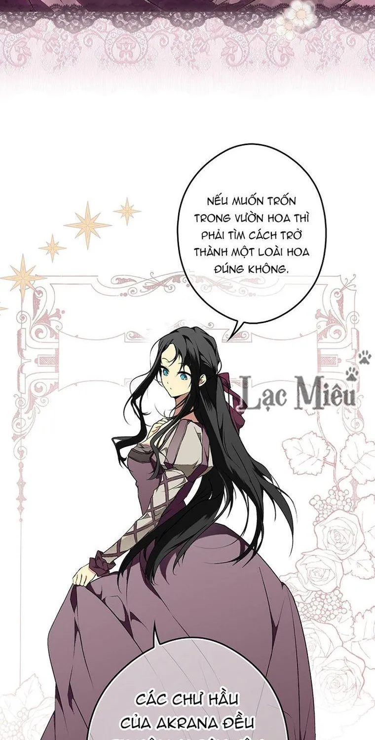 Quý Cô Bí Ẩn - Chap 38 - Trang 15