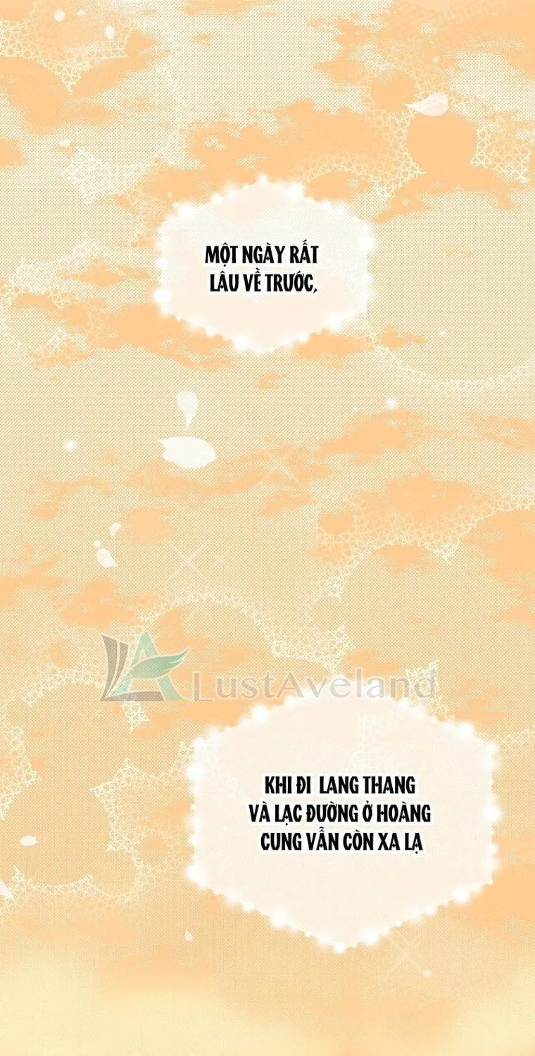 Quý Cô Bí Ẩn - Chap 4 - Trang 50