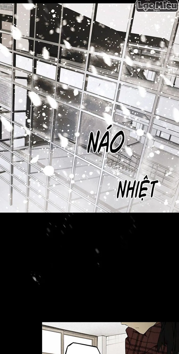 Quý Cô Bí Ẩn - Chap 45 - Trang 54