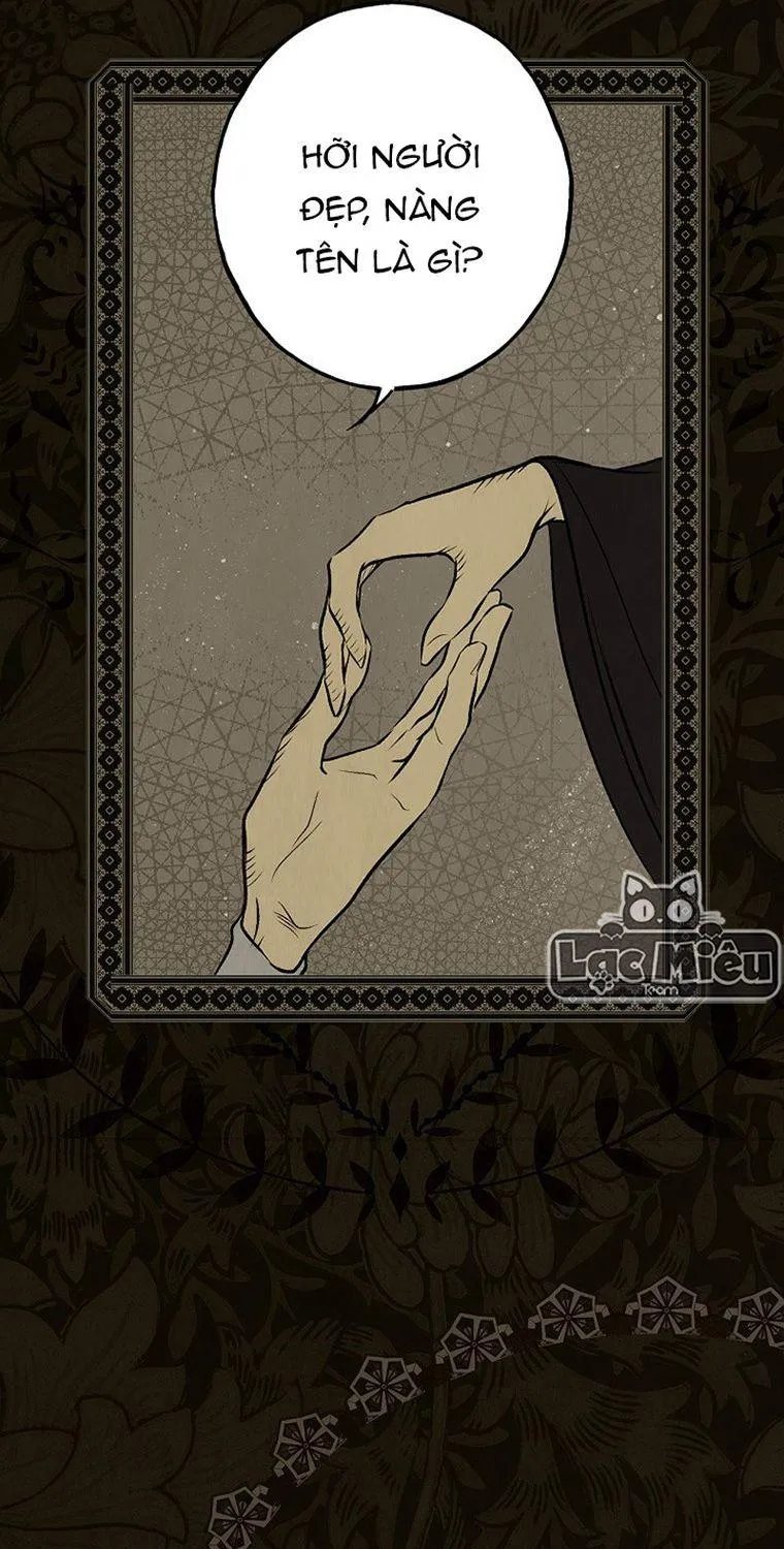 Quý Cô Bí Ẩn - Chap 48 - Trang 47