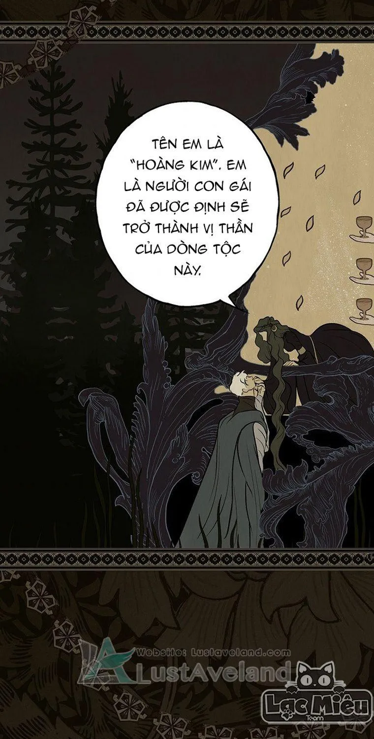 Quý Cô Bí Ẩn - Chap 48 - Trang 48
