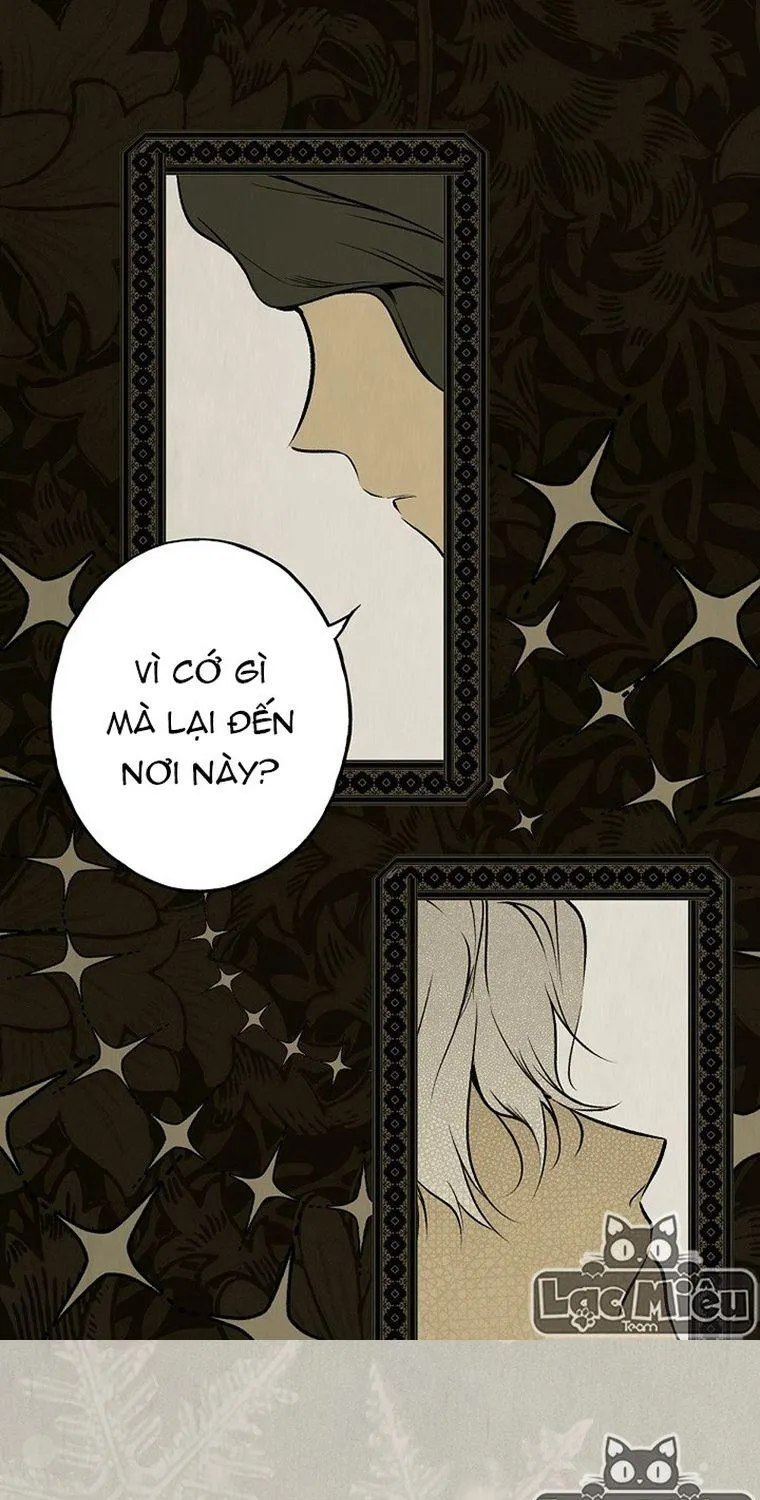 Quý Cô Bí Ẩn - Chap 48 - Trang 50