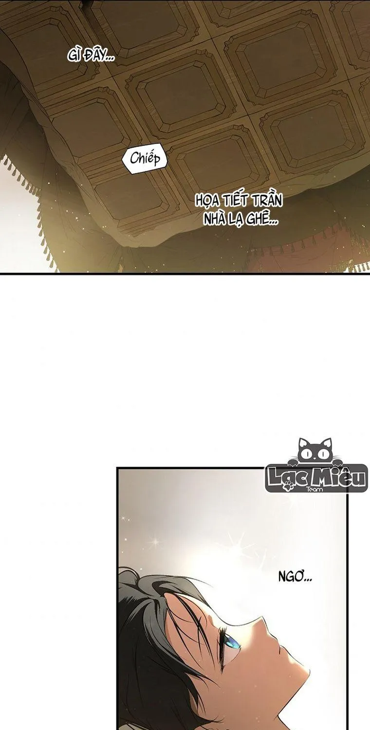 Quý Cô Bí Ẩn - Chap 51 - Trang 67