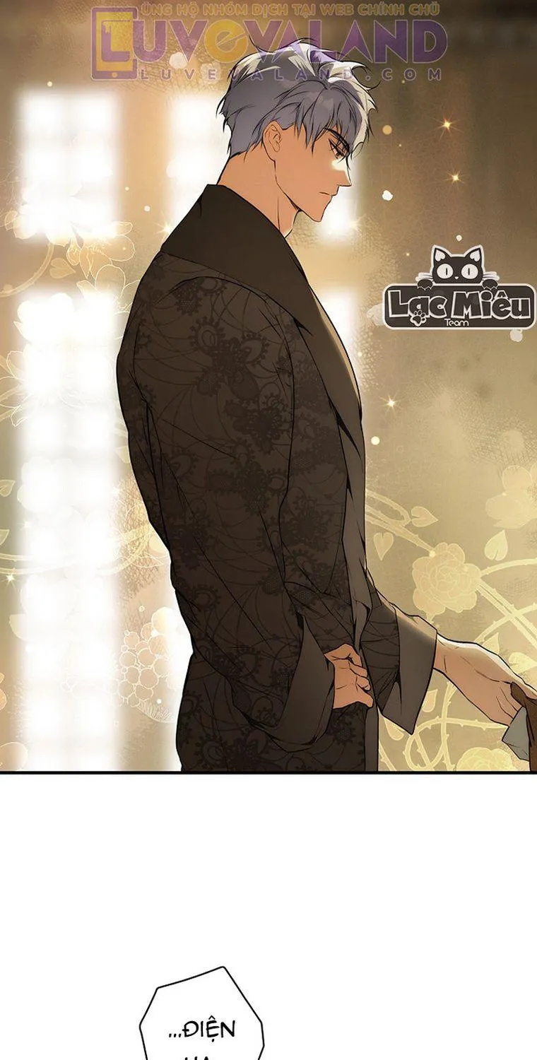 Quý Cô Bí Ẩn - Chap 52 - Trang 11