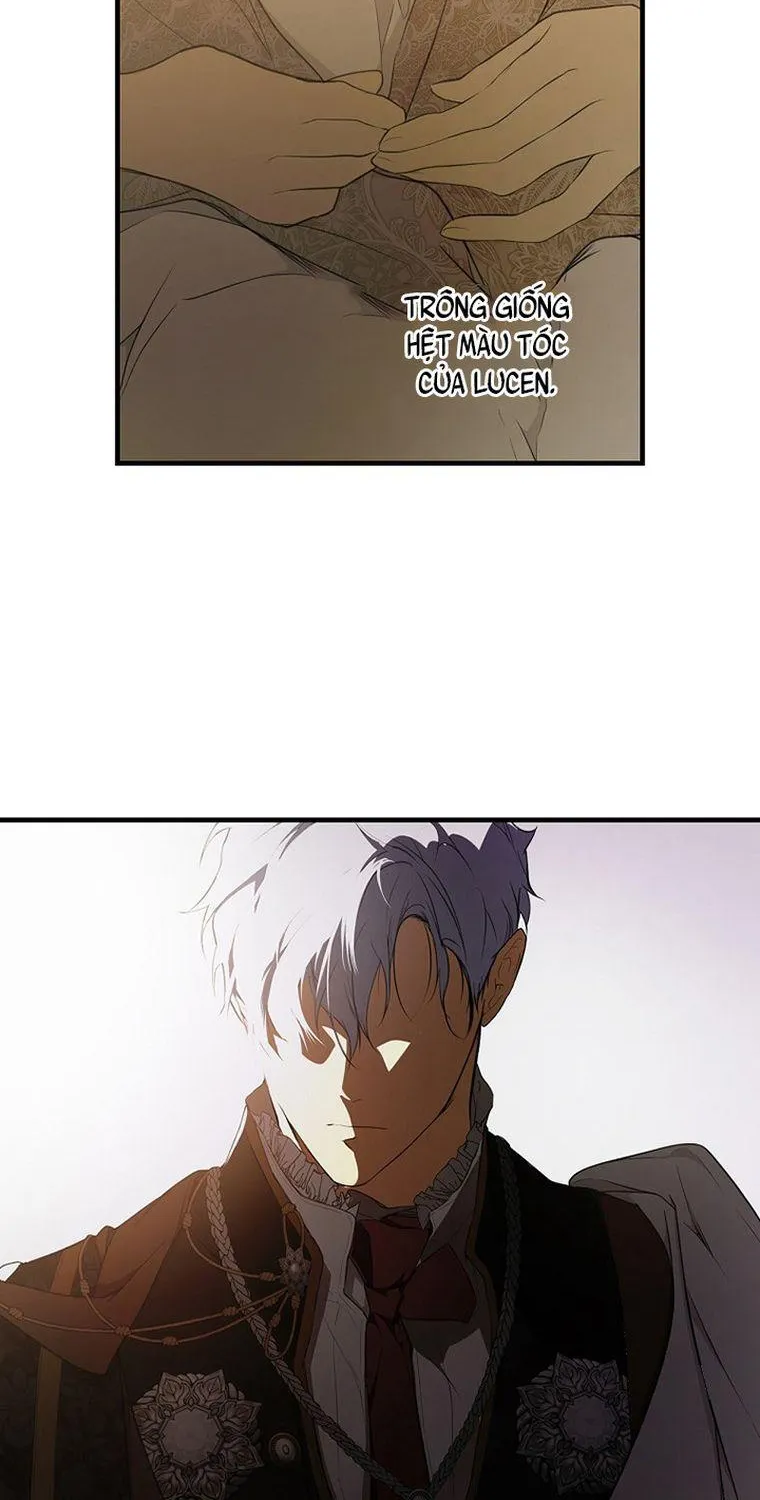 Quý Cô Bí Ẩn - Chap 52 - Trang 50