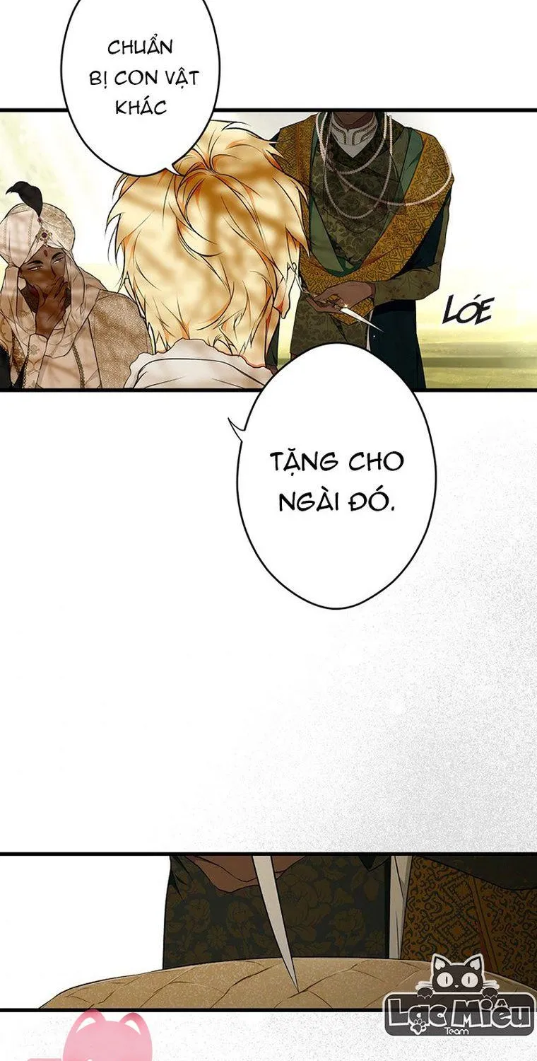 Quý Cô Bí Ẩn - Chap 55 - Trang 30
