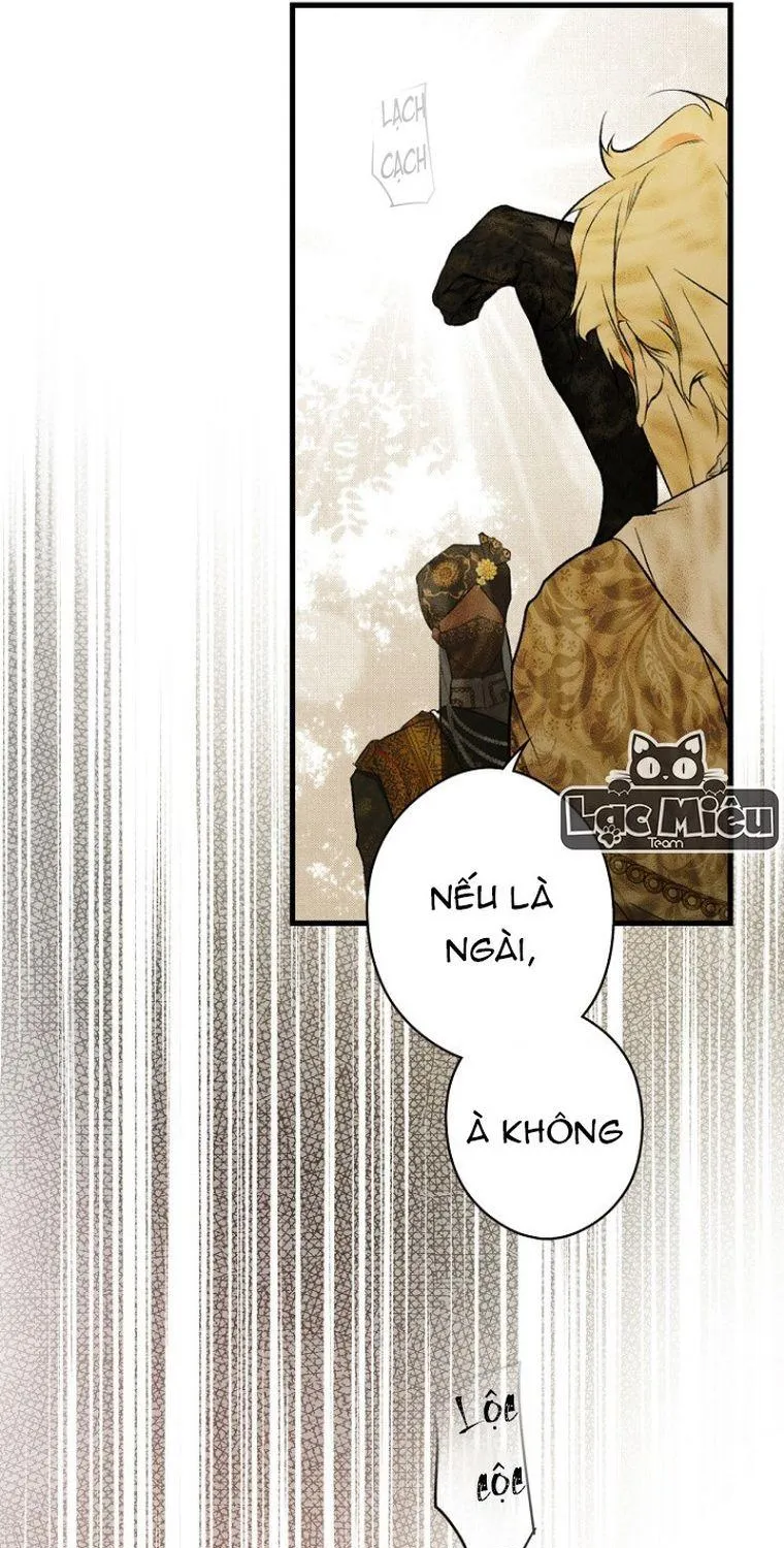 Quý Cô Bí Ẩn - Chap 55 - Trang 48