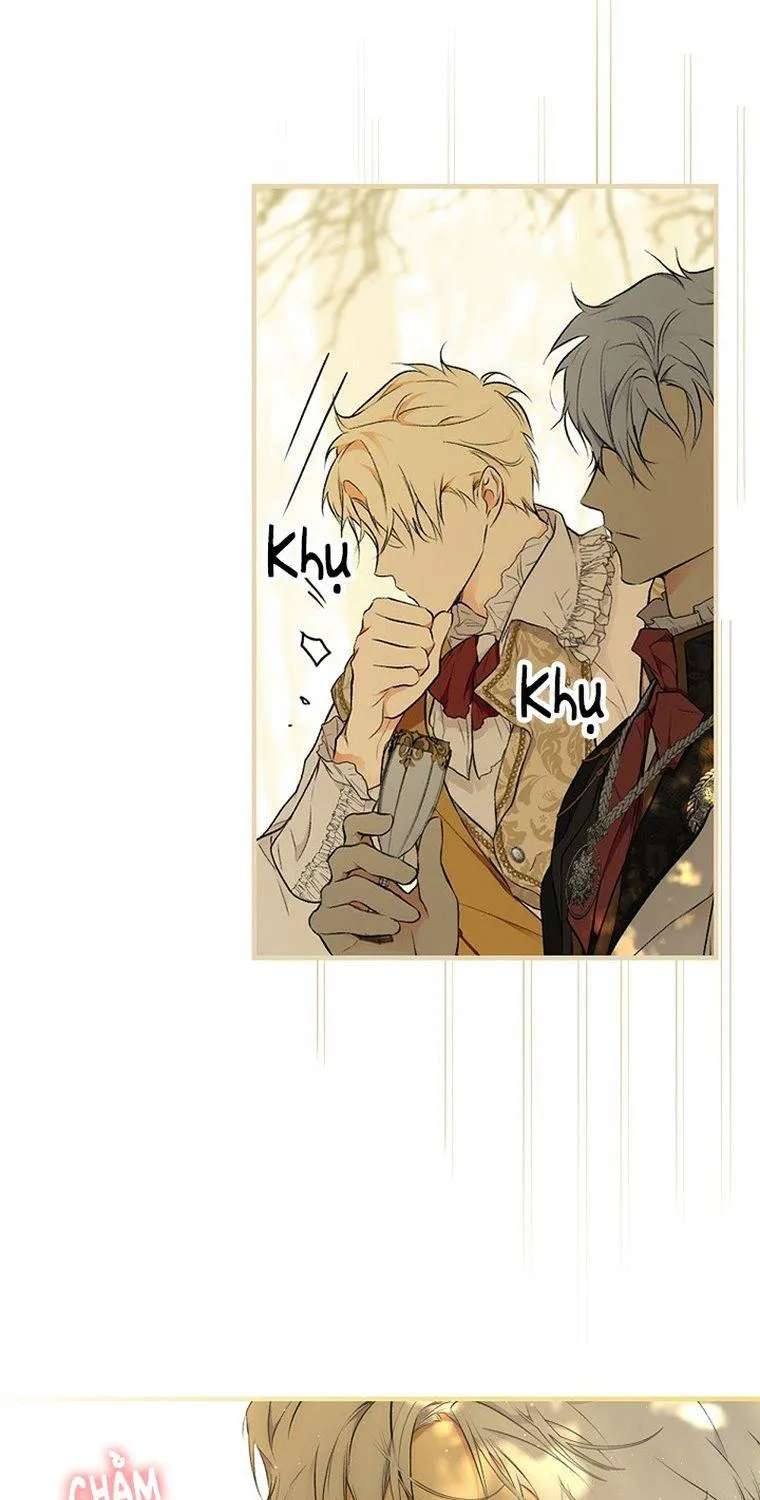 Quý Cô Bí Ẩn - Chap 56 - Trang 48