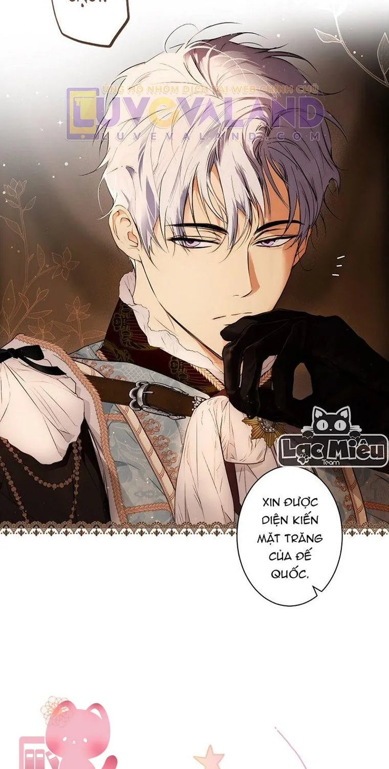 Quý Cô Bí Ẩn - Chap 59 - Trang 8