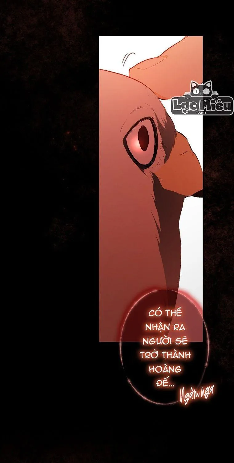 Quý Cô Bí Ẩn - Chap 59 - Trang 99