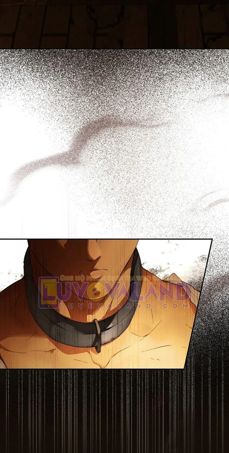 Quý Cô Bí Ẩn - Chap 61 - Trang 17